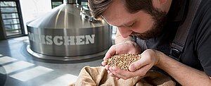 Der Rohstoff Malz im Bier Der Rohstoff Malz im Bier