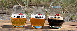 Drei Sorten Bier in in Gläsern. Drei Biergläser von Störtebeker stehen nebeneinander, gefüllt mit Bier in drei Helligkeiten: hell, bernsteinfarben und dunkel. Im Hintergrund wachsen hohe, unscharfe Gräser.